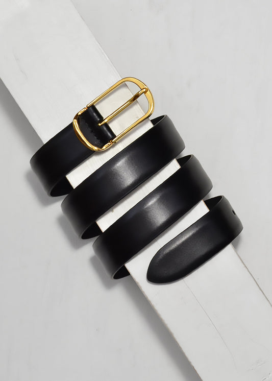 Black belt with a gold buckle on a light gray background