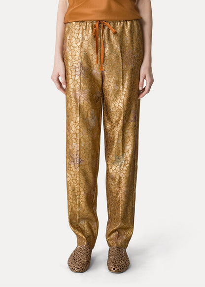 Person wearing gold metallic pants on a white background
